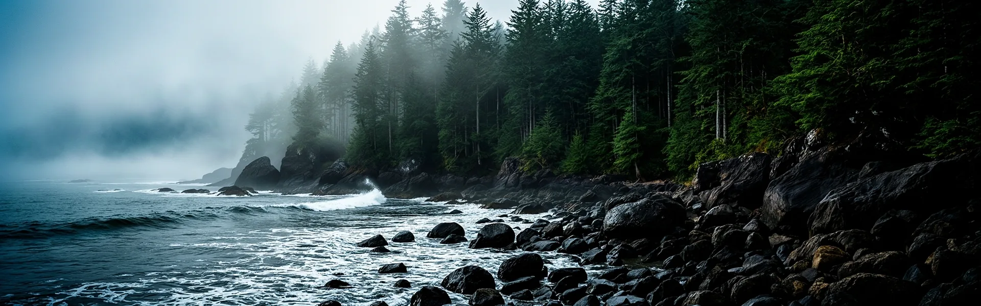 Pacific coastline landscape